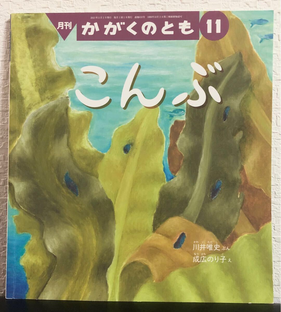◆美品◆「こんぶ」かがくのとも 川井唯史 成広のり子 福音館拍卖