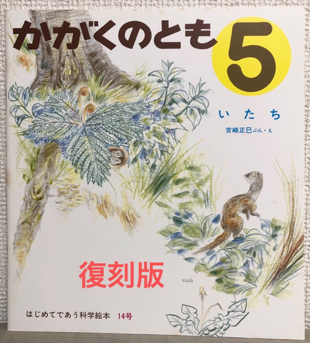 ◆復刻版◆「いたち」かがくのとも 吉崎正巳 福音館 2010年 はじめてであう科学絵本 拍卖