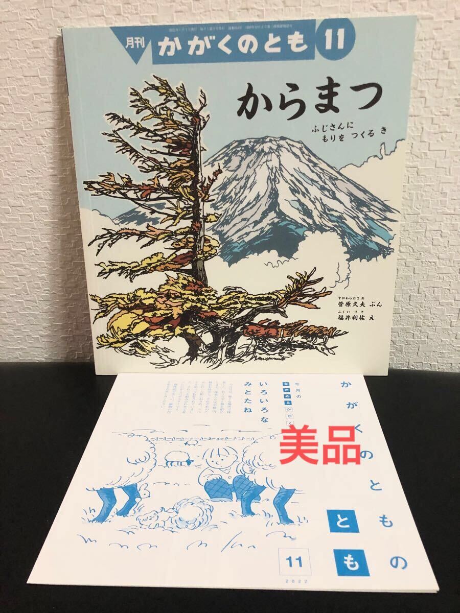 ◆美品◆「からまつ」かがくのとも 折り込み付録付き 菅原久夫 福井利沙 福音館 2022年 まつぼっくり ふじさんにもりをつくるき拍卖