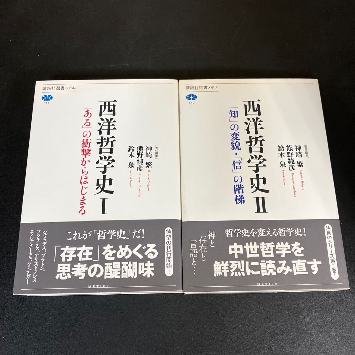 24-10-2 『 西洋哲学史Ⅰ(「ある」の衝撃からはじまる )・Ⅱ(「知」の変貌・「信」の階梯)』2巻セット 講談社選書メチエ 拍卖