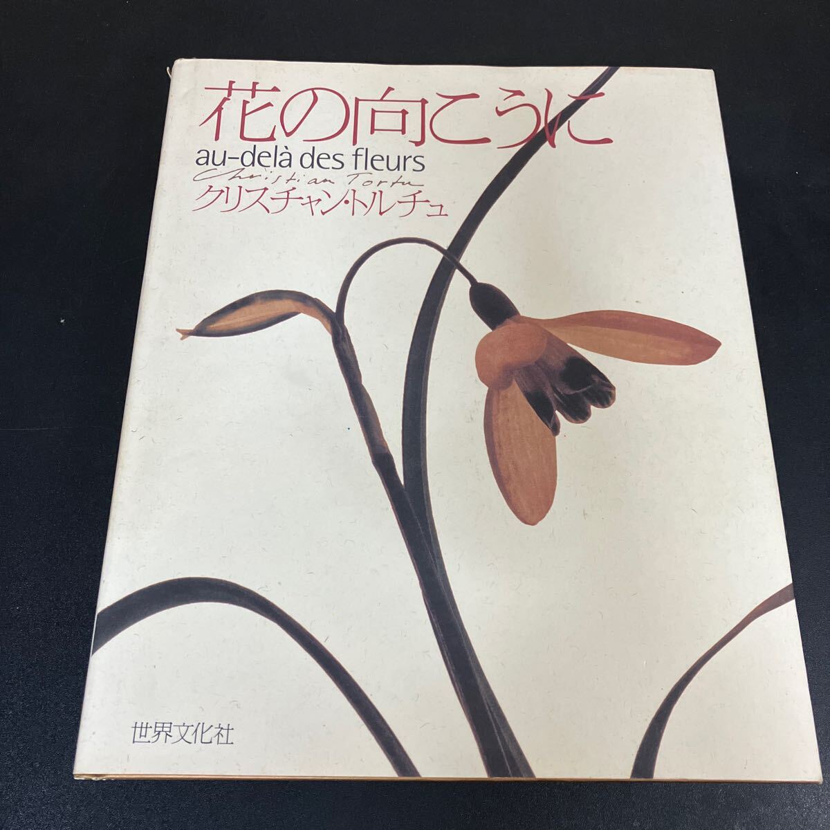 24-10-14『 花の向こうに 』クリスチャン・トルチュ (著) Christian Tortu 世界文化社 2001年拍卖