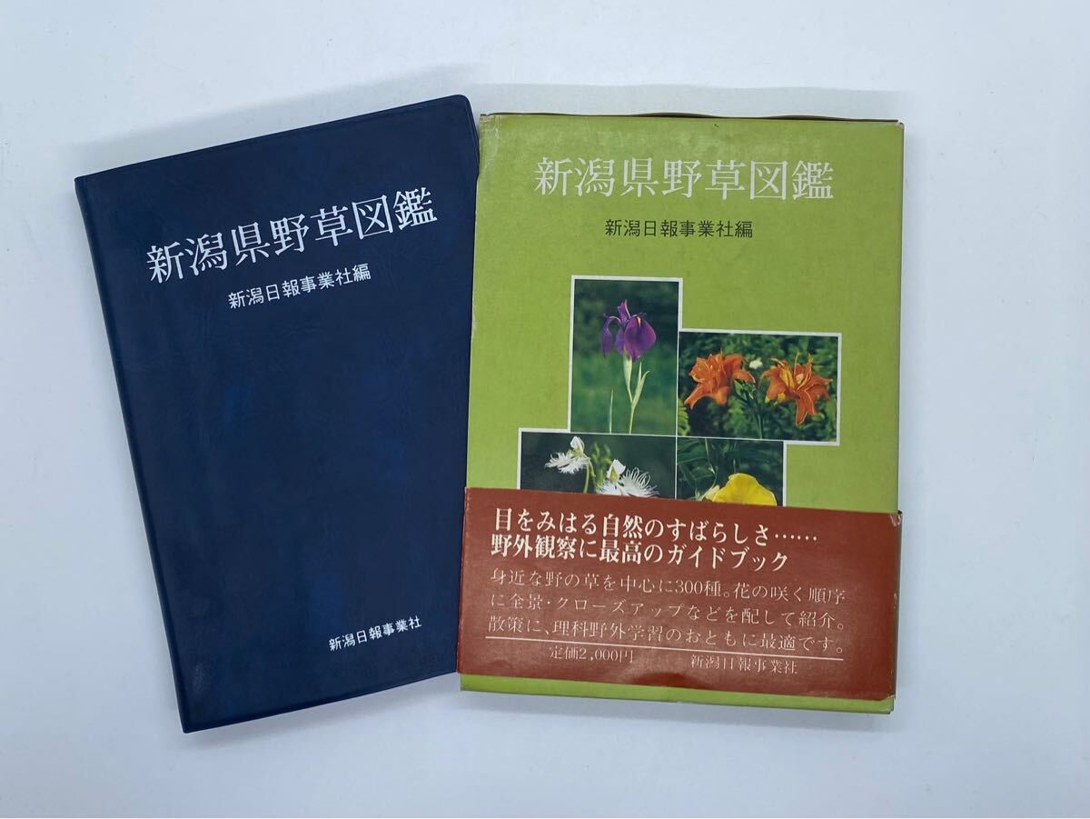 新潟県野草図鑑 新潟日報事業社 初版第4刷 昭和55年12月25日発行 自然 植物 新潟拍卖