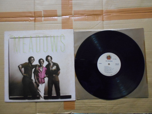 LP The Meadows 「(S.T.)」 輸入盤 RR19305 盤両面に薄いかすり傷 ジャケットに微かなリングウエアと薄い汚れと背地にシワ拍卖