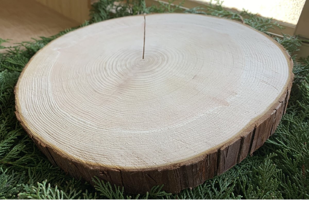 丹波ヒノキ 皮付き 最大直径28~30cm 厚さ約3cm 1枚拍卖