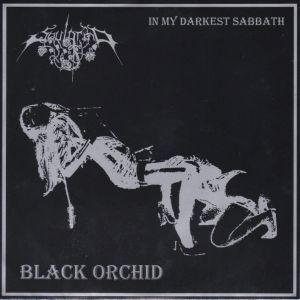 7inchレコード SOULGRIND / BLACK ORCHILD拍卖