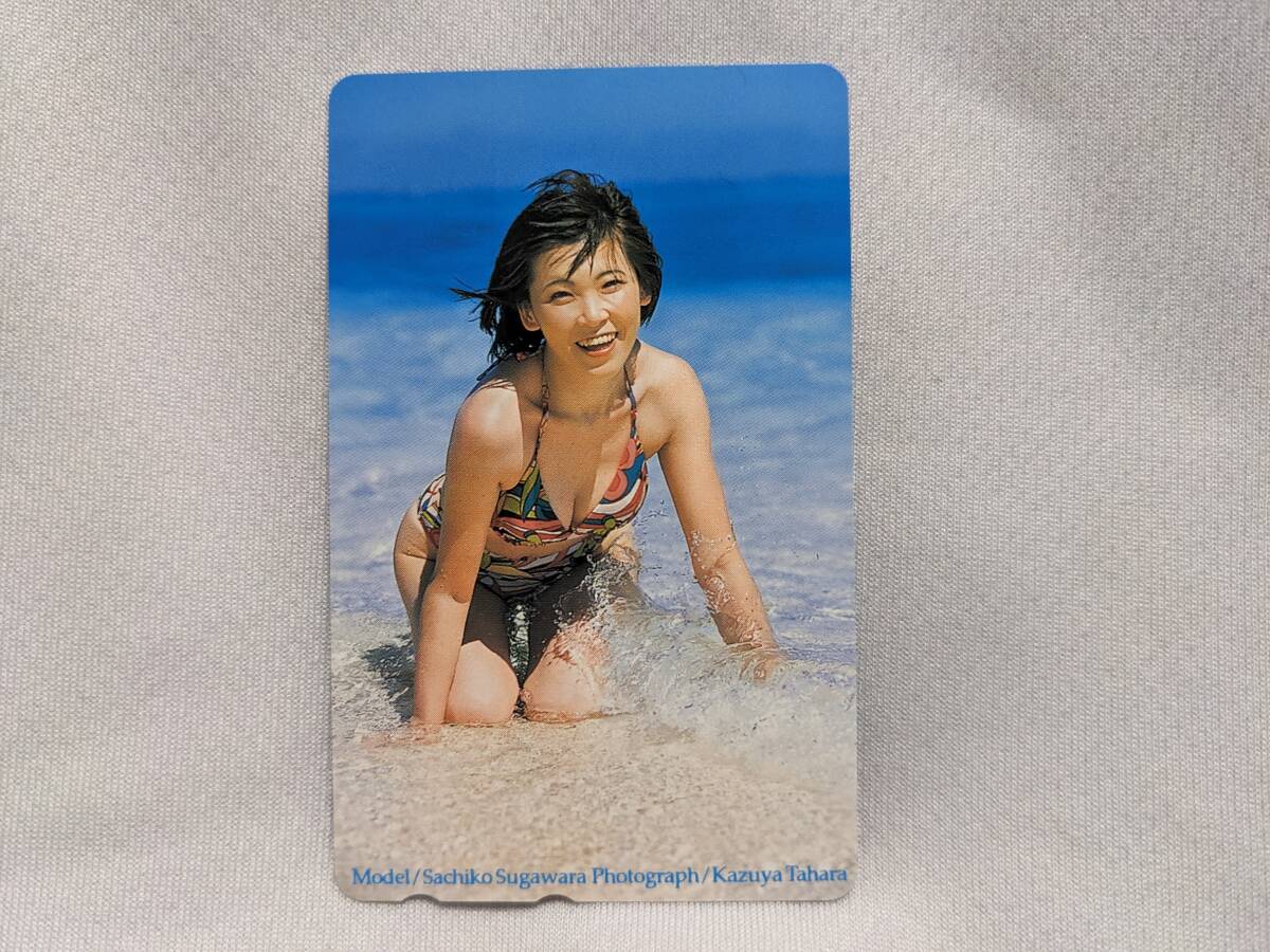 【送料無料】(入手困難品)菅原祥子 テレホンカード 50度数(未使用新品) NTT テレカ拍卖