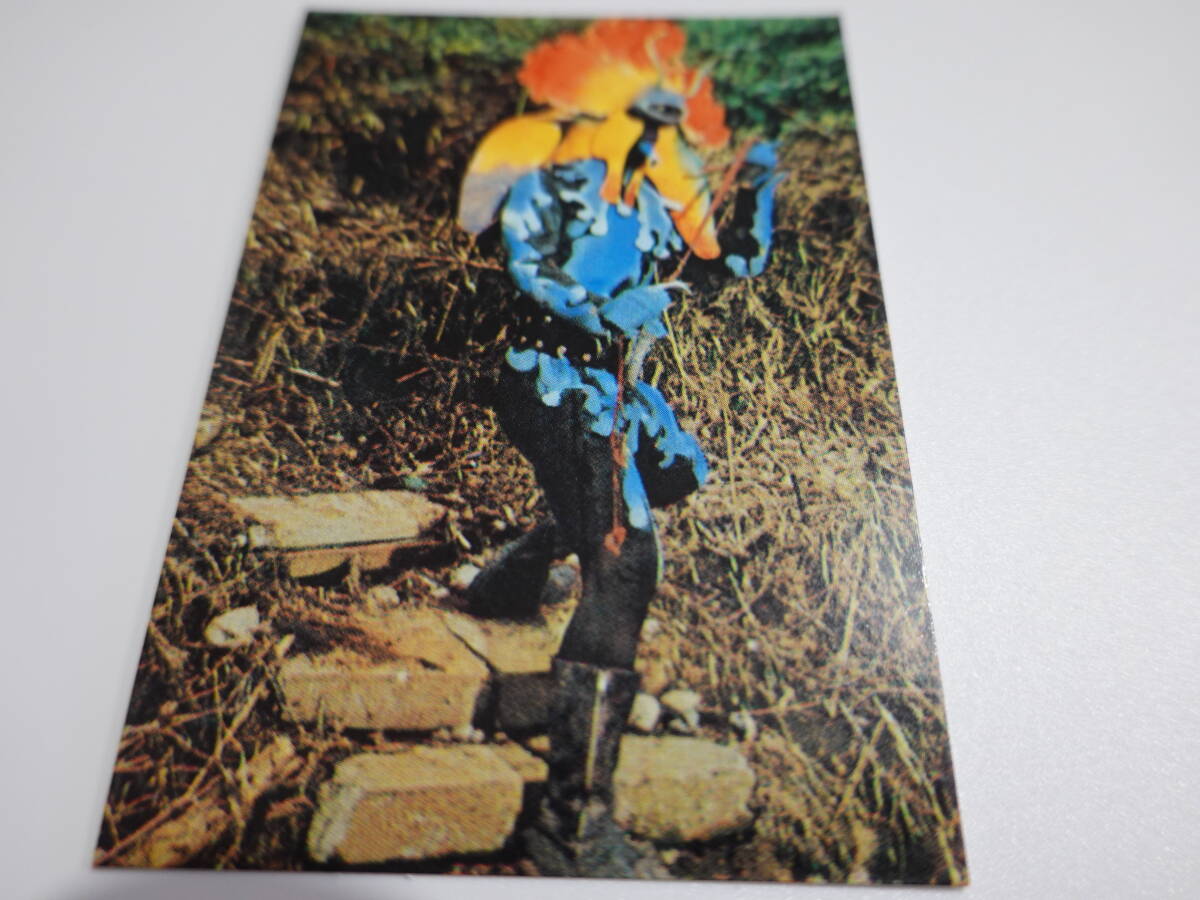 28.人喰い花ドクダリアン 1999カルビー 仮面ライダーチップス 仮面ライダーカード拍卖