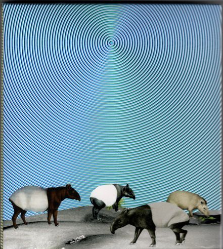 CD+DVD★NICO Touches the Walls/オーロラ拍卖