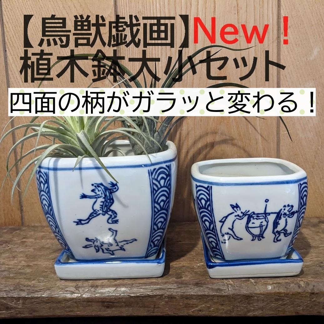 【鳥獣戯画1個】植木鉢 大小2点セット 縁起物 四角 正方角切 多肉植物拍卖