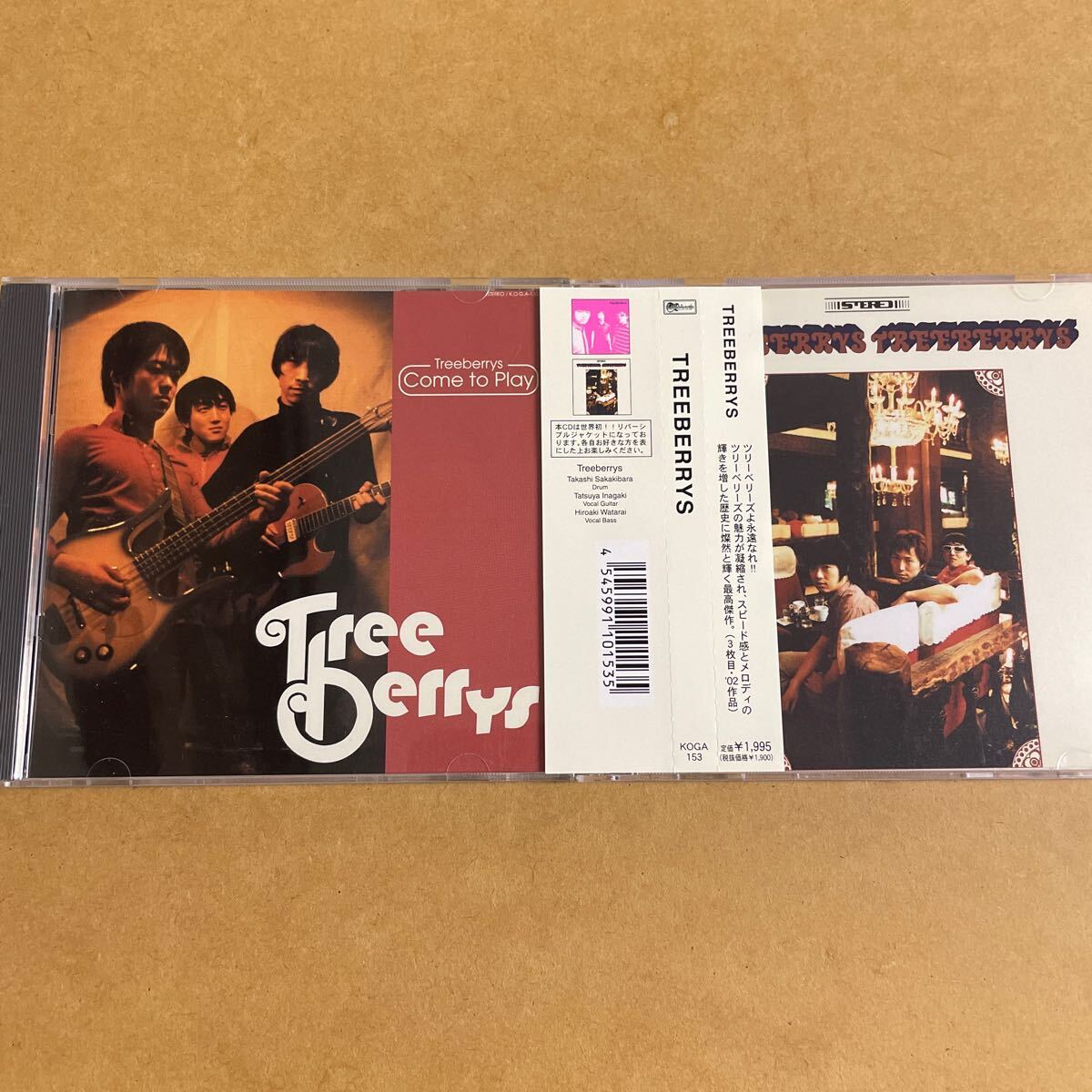 2枚 Treeberrys/Come to Play+TREEBERRYS K.O.G.A MORE FUN, ROCKBOTTOM パワーポップ power pop 検)firestarter,playmates,registrators拍卖