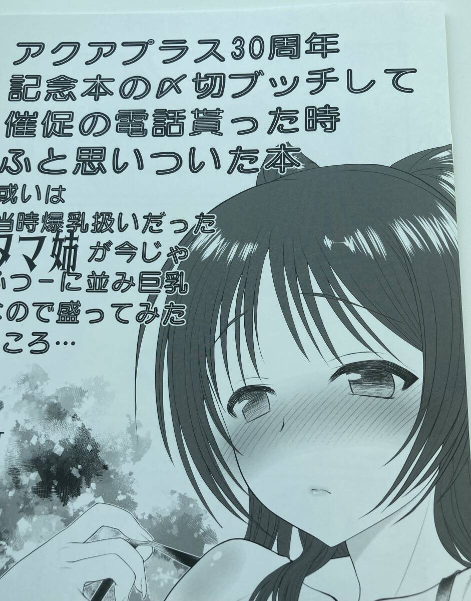 COMIC1☆25 コミ1 UROBOROS うたたねひろゆき 新刊 コピー本 会場限定 コミケ104 C104 コミック1 新品拍卖