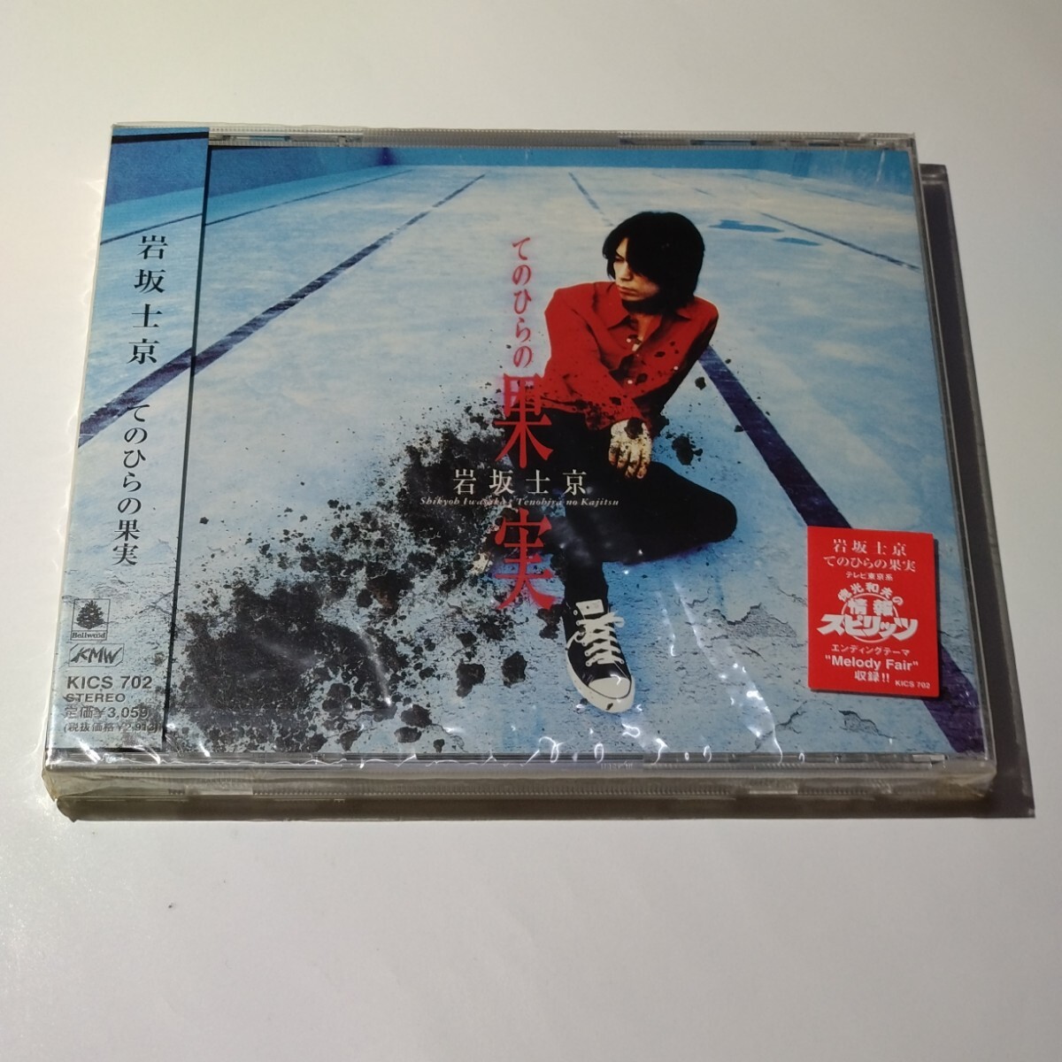 岩坂士京「てのひらの果実」CD 新品未開封拍卖