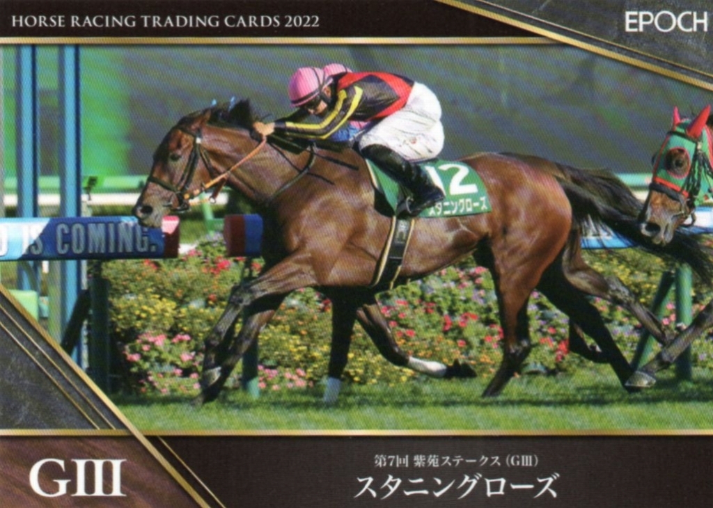 ホースレーシング トレーディングカード 2022下半期総集編 スタニングローズ拍卖