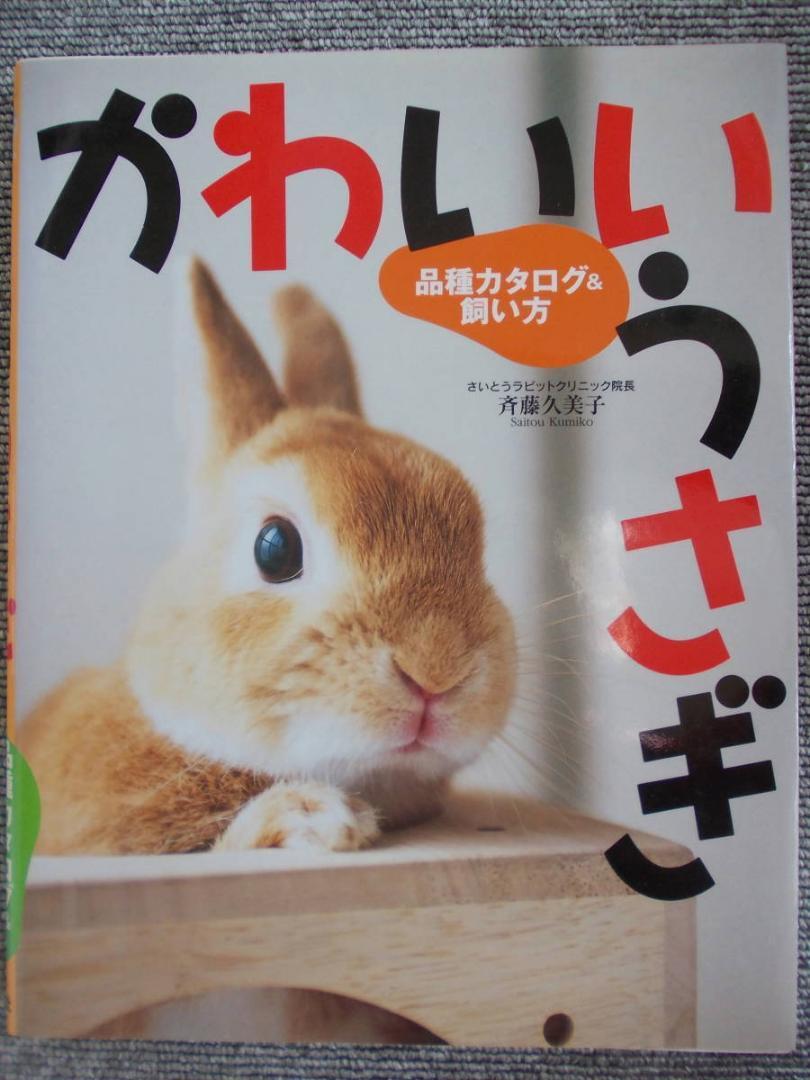 ◇かわいいうさぎ 品種カタログ&飼い方◇(美本)拍卖