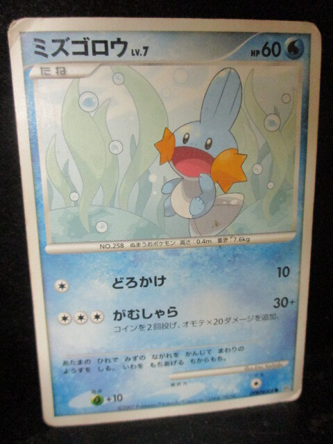 ◎ポケモンカード  ミズゴロウ 即決!!拍卖