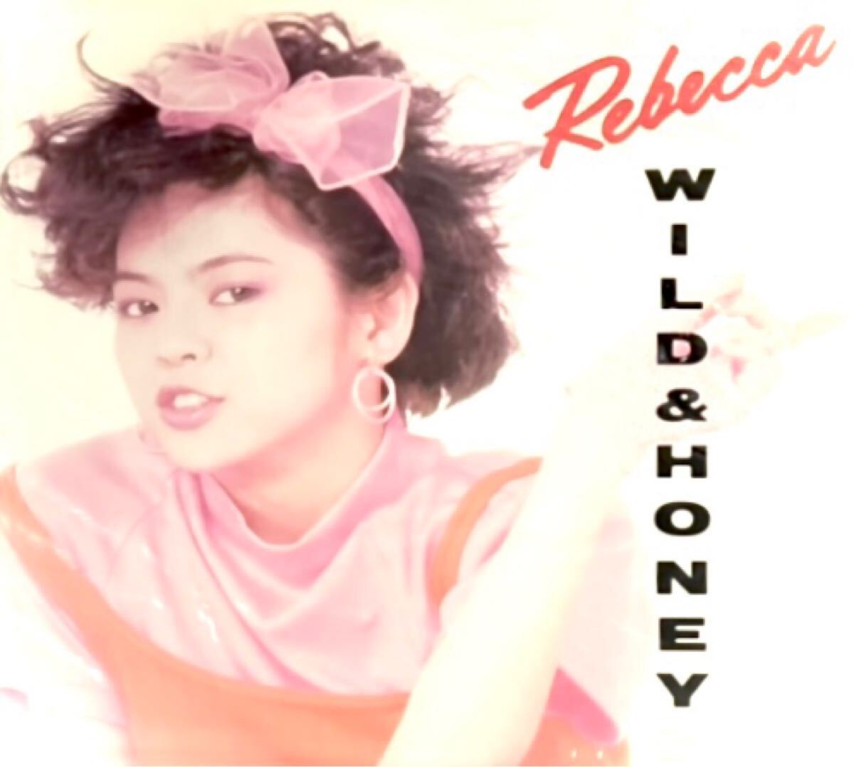 『ナチュラルに優しくロックするレベッカの大自信作 試聴』レベッカ HONEY WILD アナログレコード LP拍卖