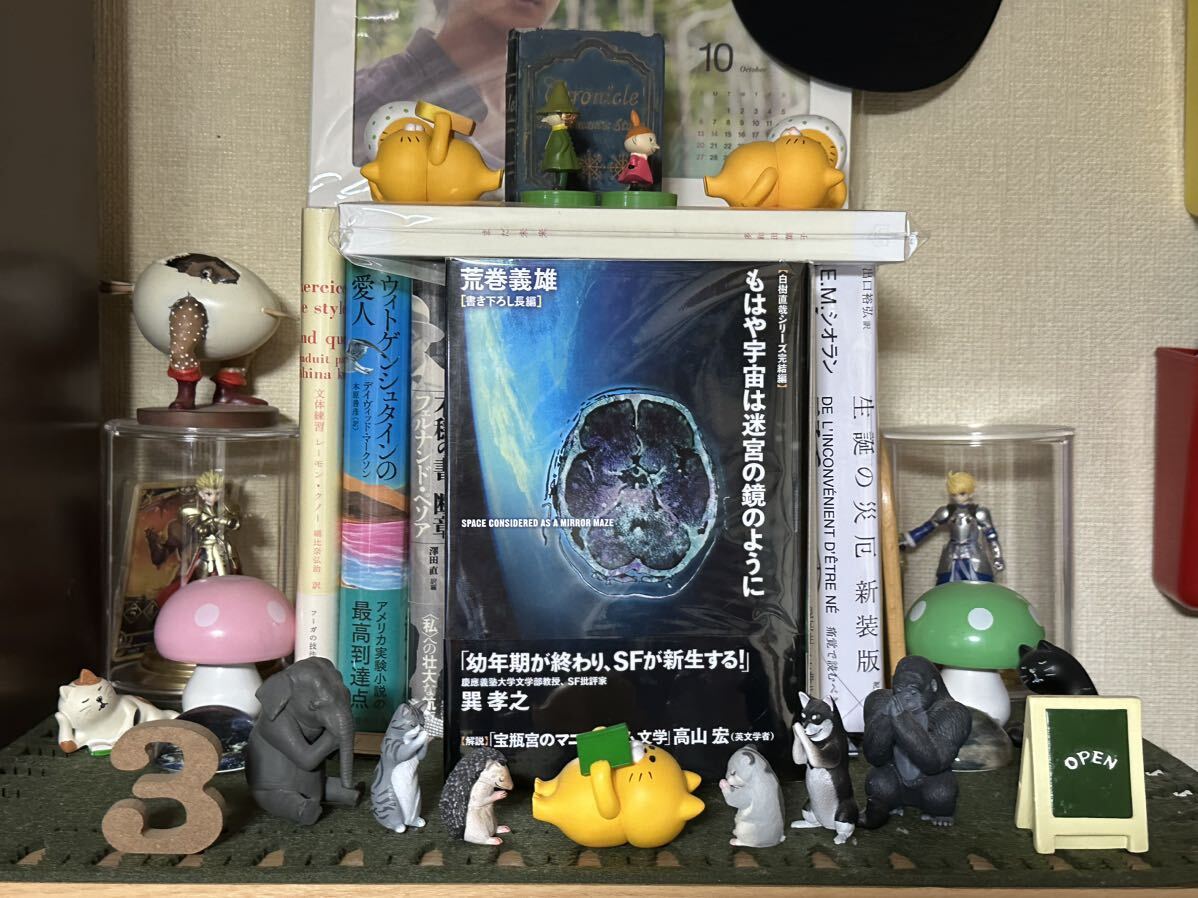 もはや宇宙は迷宮の鏡のように 荒巻義雄拍卖