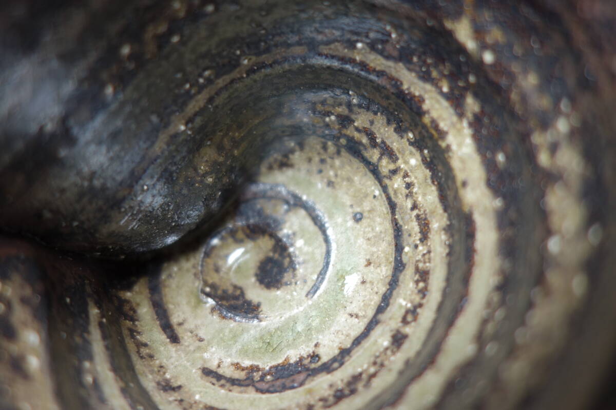 昭和期 黒釉 餃子の耳手 高級ウーロン茶器&酒器兼用 琉球焼 陶磁器研究拍卖