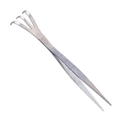 盆栽用くまで付きピンセット ステンレス製 盆栽 ミニ盆栽 盆栽道具拍卖