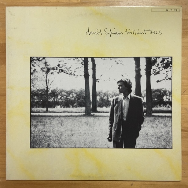 DAVID SYLVIAN BRILLIANT TREES LP拍卖