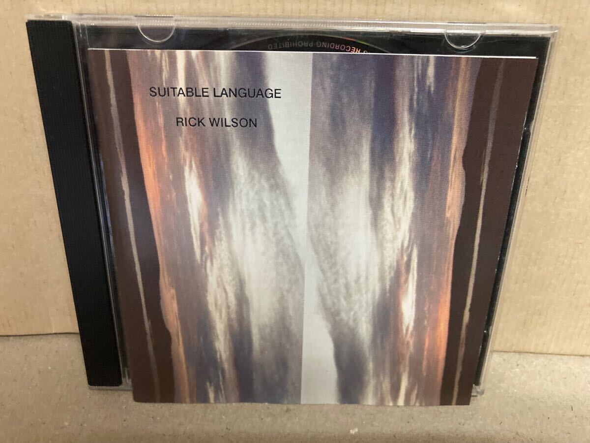 RICK WILSON【SUITABLE LANGUAGE】アバンギャルド/オルタナ/FAMILY FODDER拍卖