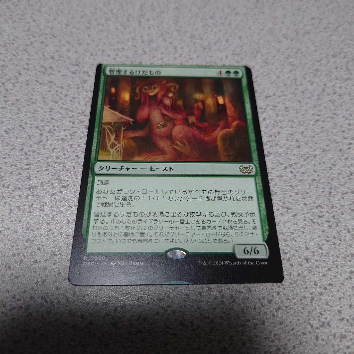 MTG DSK 管理するけだもの 日本語 一枚 エラー ダスクモーン:戦慄の館 統率者デッキ DSC 即決拍卖