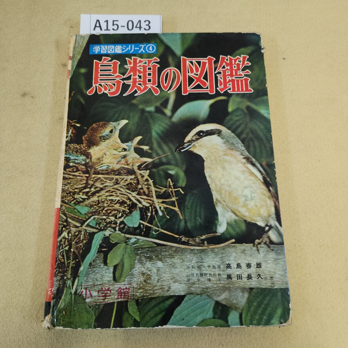 A15-043 小学館の鳥類の図鑑 図鑑学習図鑑シリーズ4 書き込み有 ページ割れ複数 表紙劣化有 ページ破れ有 シミ汚れ複数有拍卖