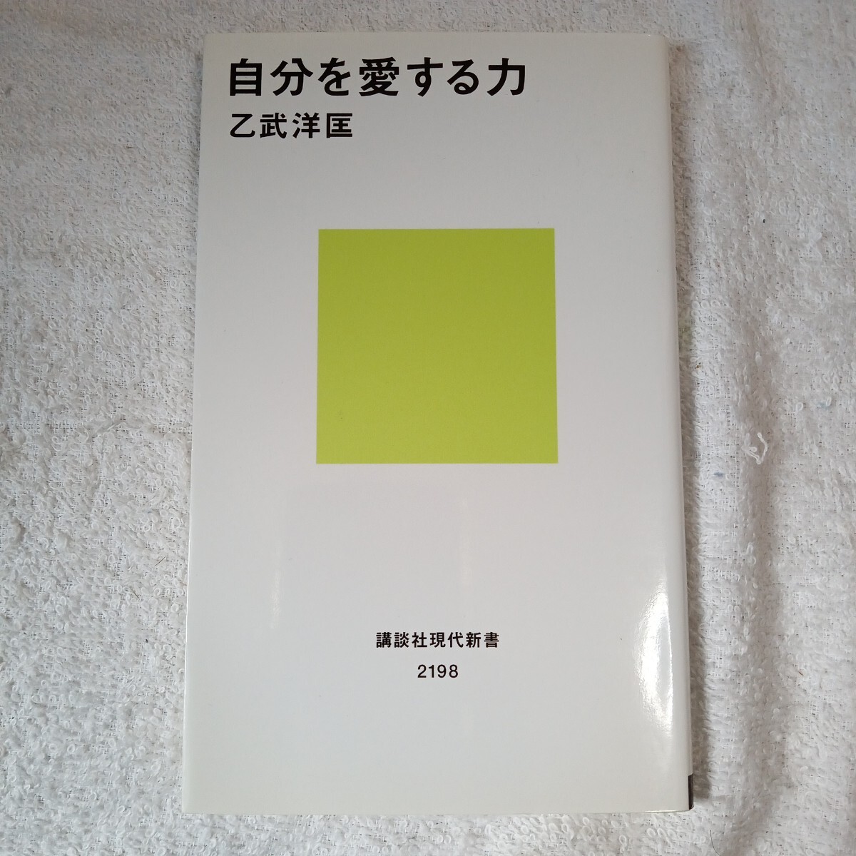 自分を愛する力 (講談社現代新書) 乙武 洋匡 9784062881982拍卖