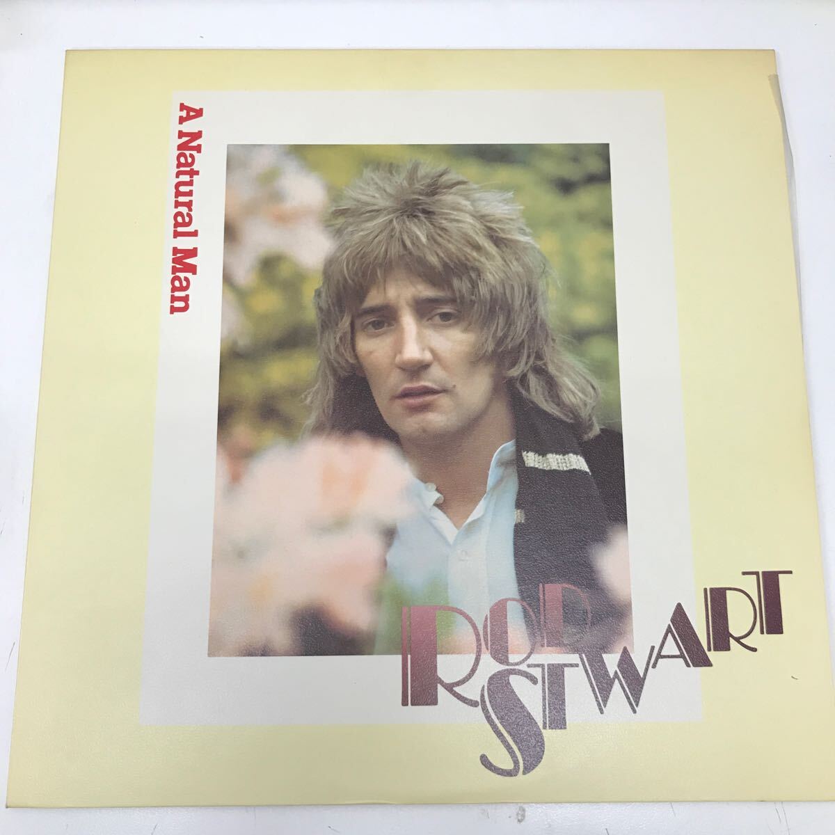 36774-22 1020Y LP ROD STWART A Natural Man 動作未確認拍卖