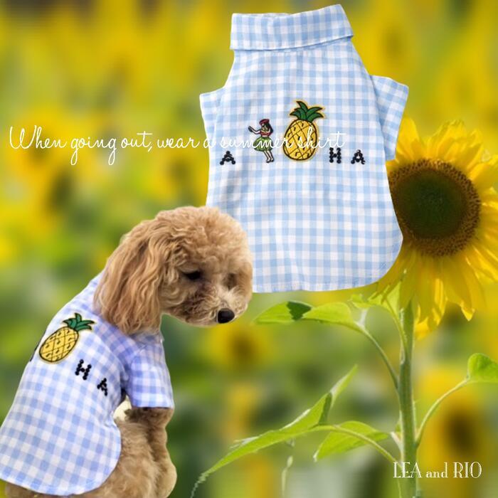 在庫一掃処分セール トップス 0~5号 P50 極小犬 パピー 超小型犬 小型犬 犬 猫 ペット 服 犬服 猫服 犬の服 ギンガムチェック 春夏 拍卖