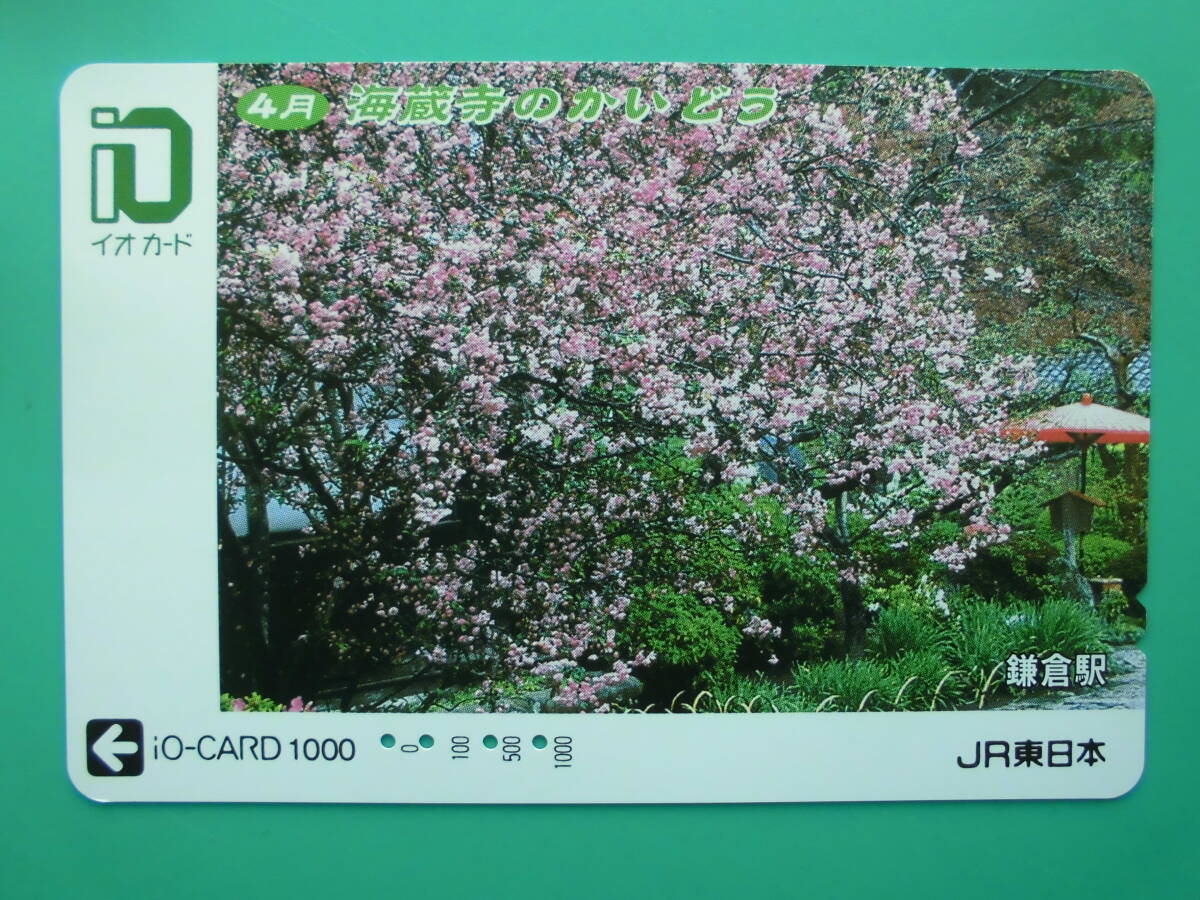 イオカード 使用済 海蔵寺 かいどう 鎌倉 【送料無料】拍卖