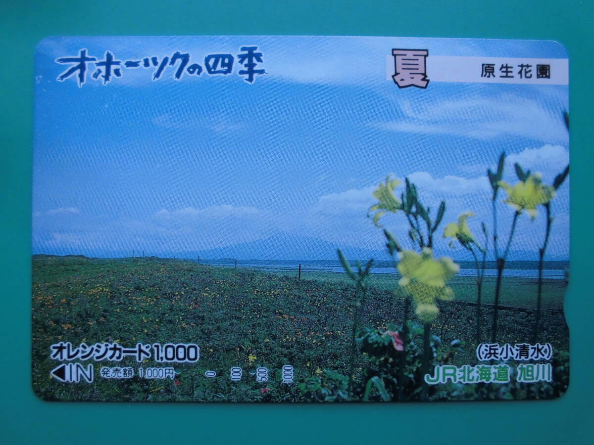 JR北 オレカ 使用済 オホーツクの四季 夏 原生花園 浜小清水 【送料無料】拍卖