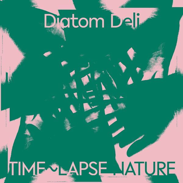 新品 DIATOM DELI / TIME~LAPSE NATURE (LP) COLORED VINYL (Ambient,Folk)拍卖
