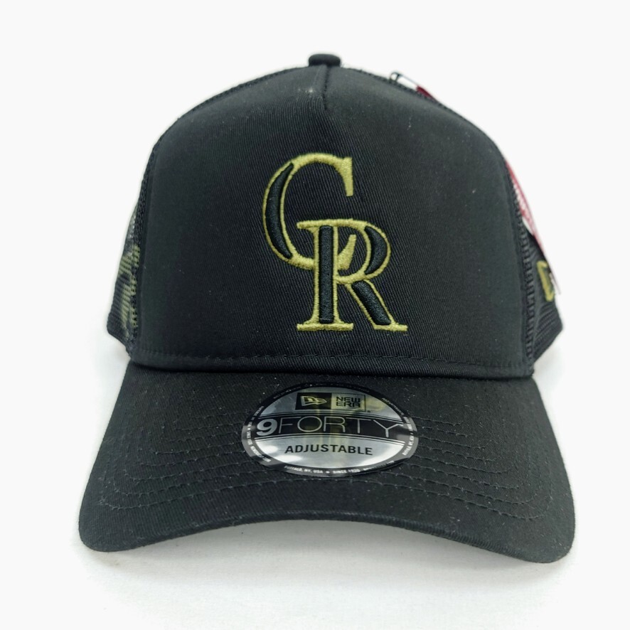 NEWERA 9FORTY ALPHA コラボ メッシュキャップ カーブバイザー拍卖