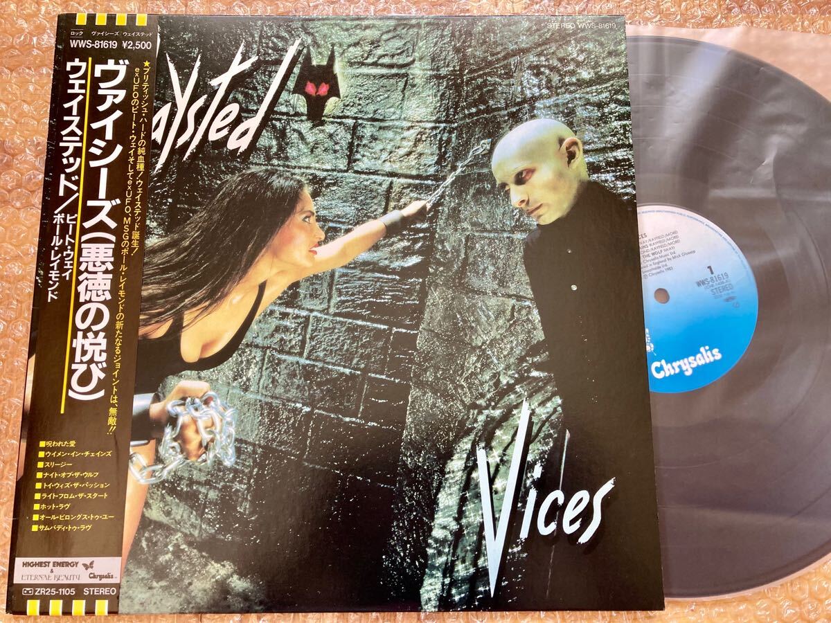 【美品】LP ウェイステッド / 悪徳の悦び 帯付 WAYSTED拍卖