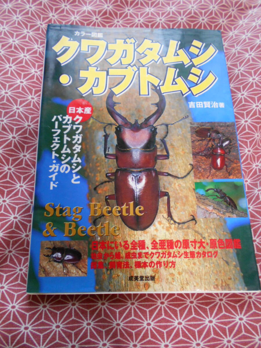 ★カラー図鑑・クワガタムシ・カブトムシ 吉田賢治★日本産種類のみ!あまり見かけない絶版の本でしょうか。本の状態は綺麗ではないです。拍卖