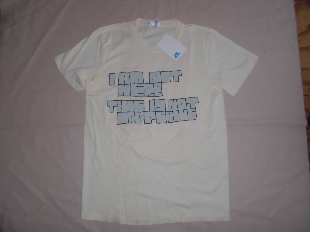 2K BY GINGHAM プリントロゴTシャツ USA製 S ゆうパケット便で送料無料!拍卖