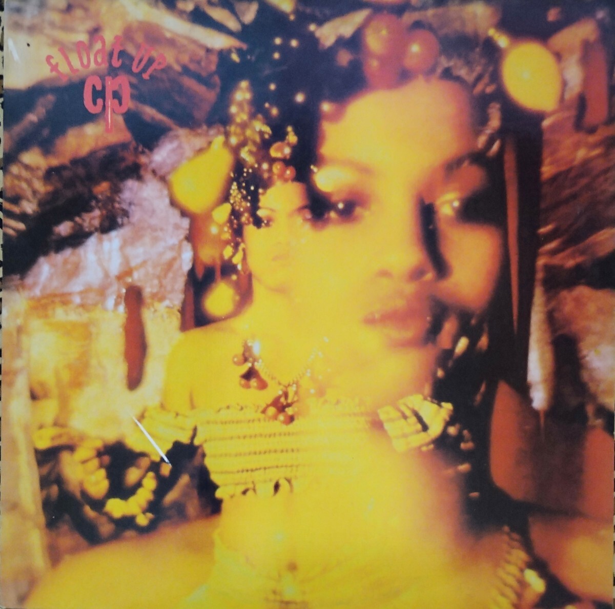 Float Up CP Kill Me In The Morning 英国盤アルバム レコード Neneh Cherry Rip Rig + Panic post punk拍卖