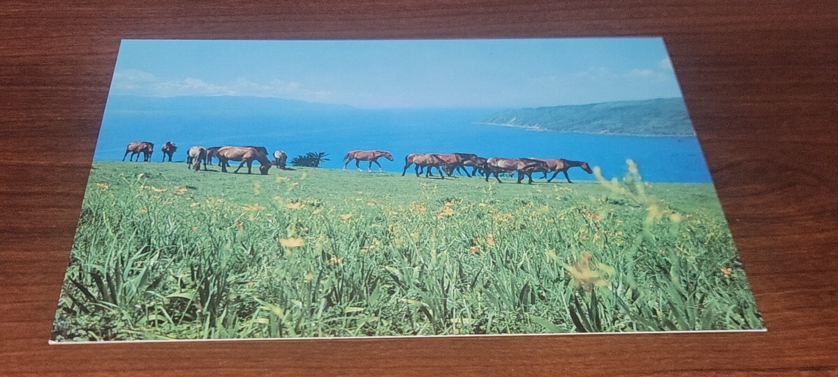 3008 絵葉書 南国宮崎 日南海岸国定公園 都井峠拍卖