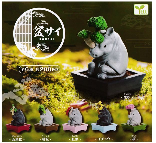 盆サイ 全6種セット BONSAI 拍卖