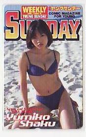 5-s922 釈由美子 ヤングサンデー テレカ拍卖