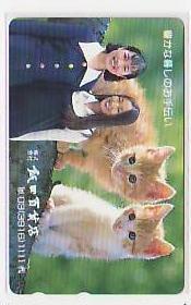 5-s766 動物 ネコ 猫 飯田百貨店 テレカ拍卖