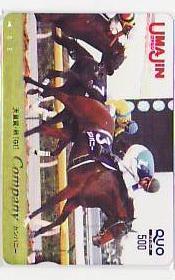 5-h768 競馬 UMAJIN カンパニー クオカード拍卖