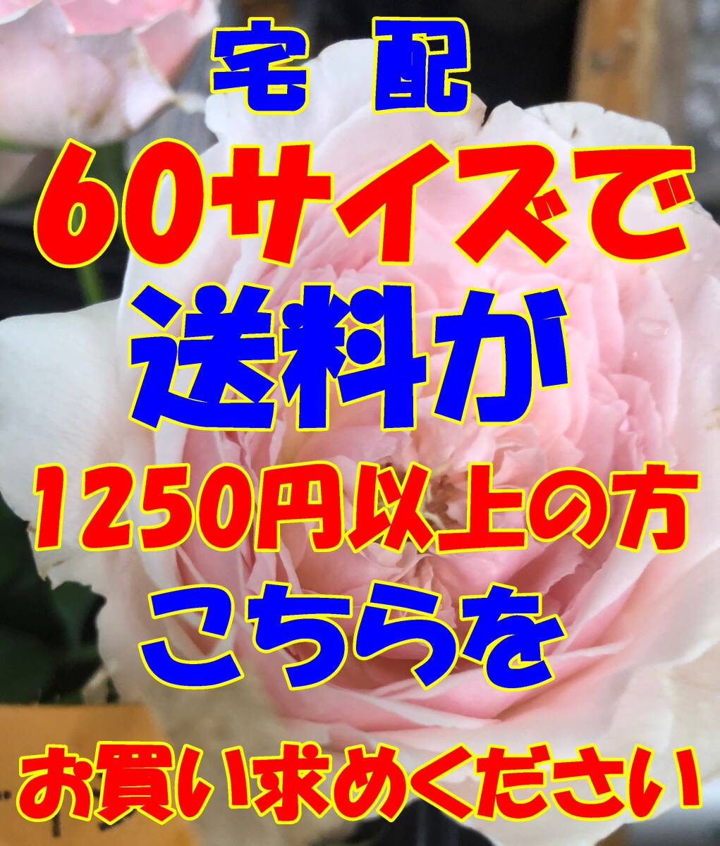 送料としてお買い求めください A60 日本全国同一金額  60サイズ迄で送料が 1250円 以上の方 ヤフネコ宅急便拍卖