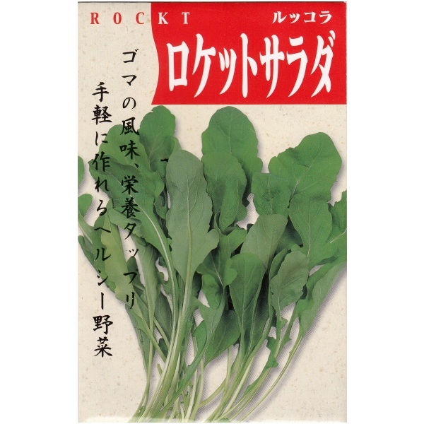 送料無料 ルッコラ(ロケット) 100粒拍卖
