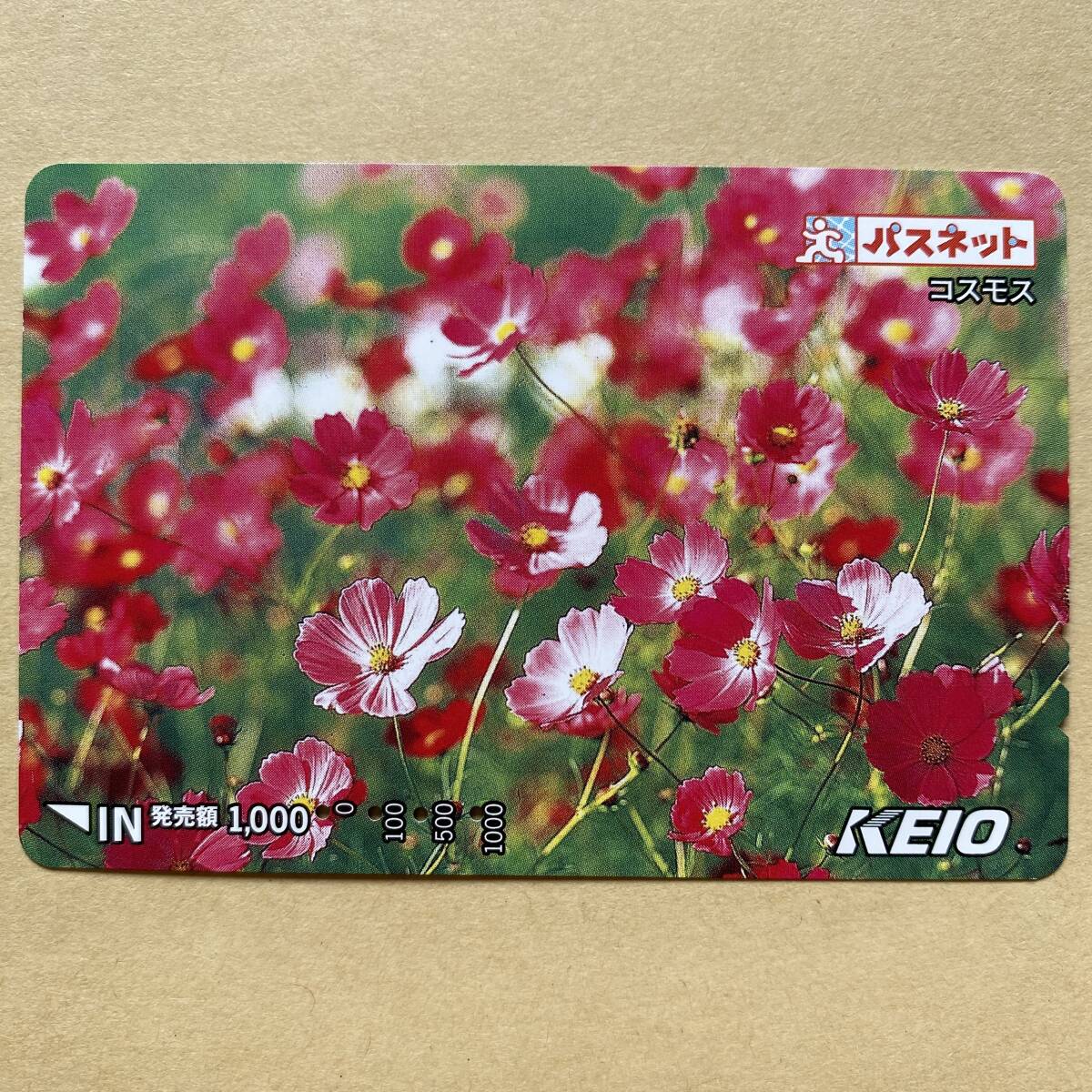 【使用済】 花パスネット 京王電鉄 コスモス拍卖
