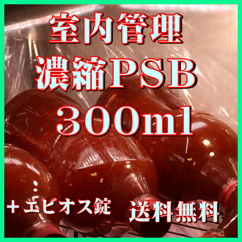 ★送料無料★ 室内管理濃縮培養PSB300ml+エビオス30錠 光合成細菌 水質調整、バクテリア、めだか・金魚・熱帯魚などに最適。拍卖