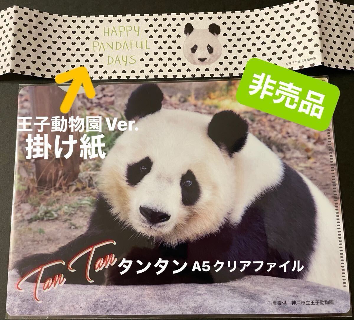 タンタン クリアファイル A5サイズ & タンタン 掛け紙 HAPPY PANDAFUL DAYS 非売品セット 配布終了 パンダ 王子ZOO シャンシャン拍卖