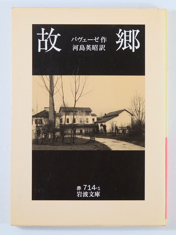 501258イタリア 小説「故郷 (岩波文庫)」パヴェーゼ 文庫 126951拍卖