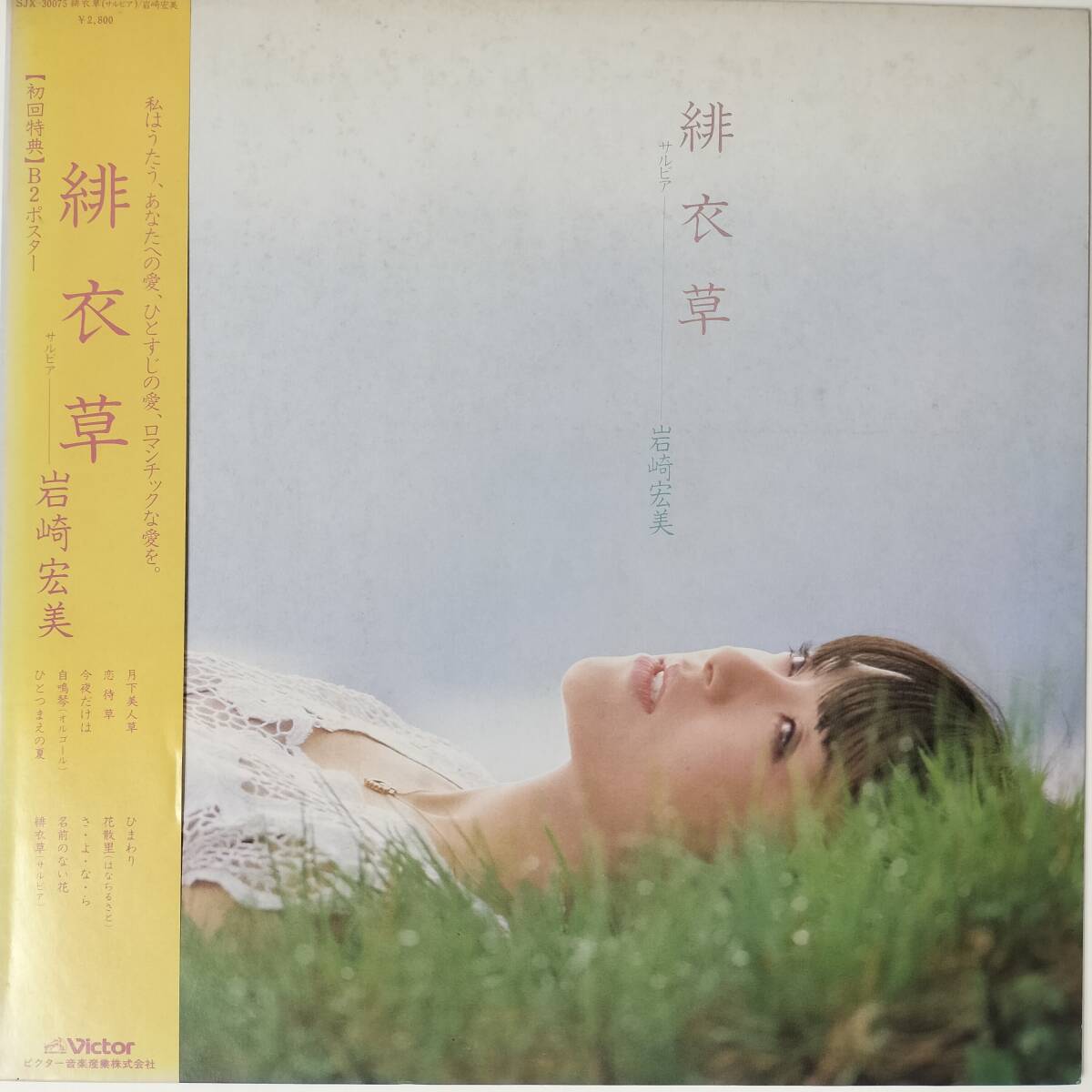 53974 美盤 岩崎宏美 / 緋衣草 (サルビア) ※サイン色紙付! 帯付*ライナーノーツなし拍卖